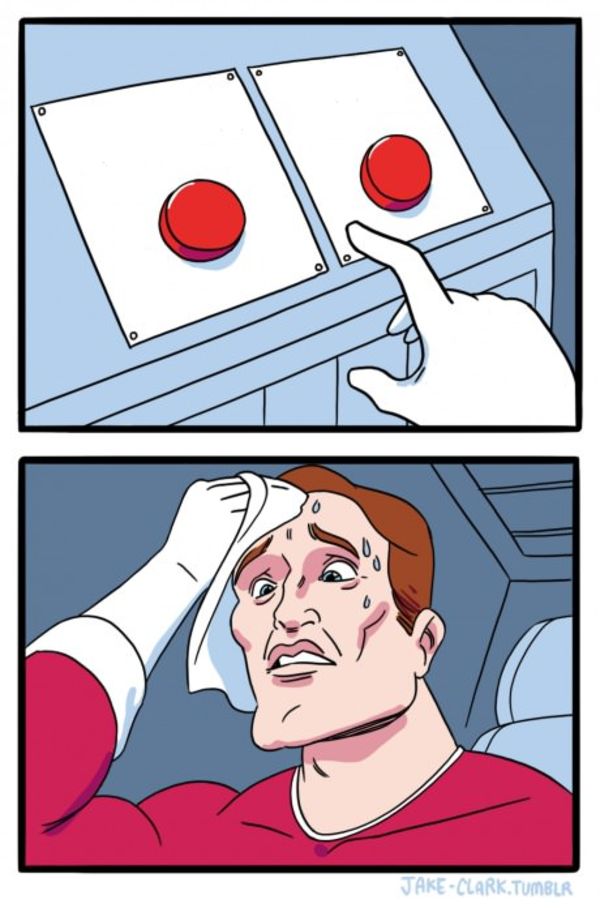 Two Buttons meme about Koia